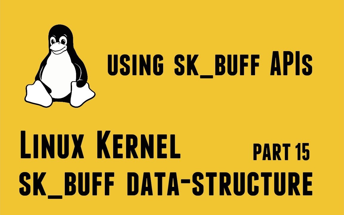 Linux Kernel Network Programming - struct sk_buff data-structure - Using sk_buff APIs