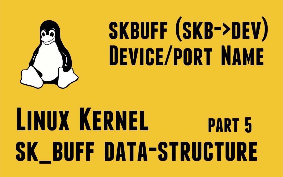 Linux Kernel Network Programming - struct sk_buff data-structure - (skb->dev) Device/port name