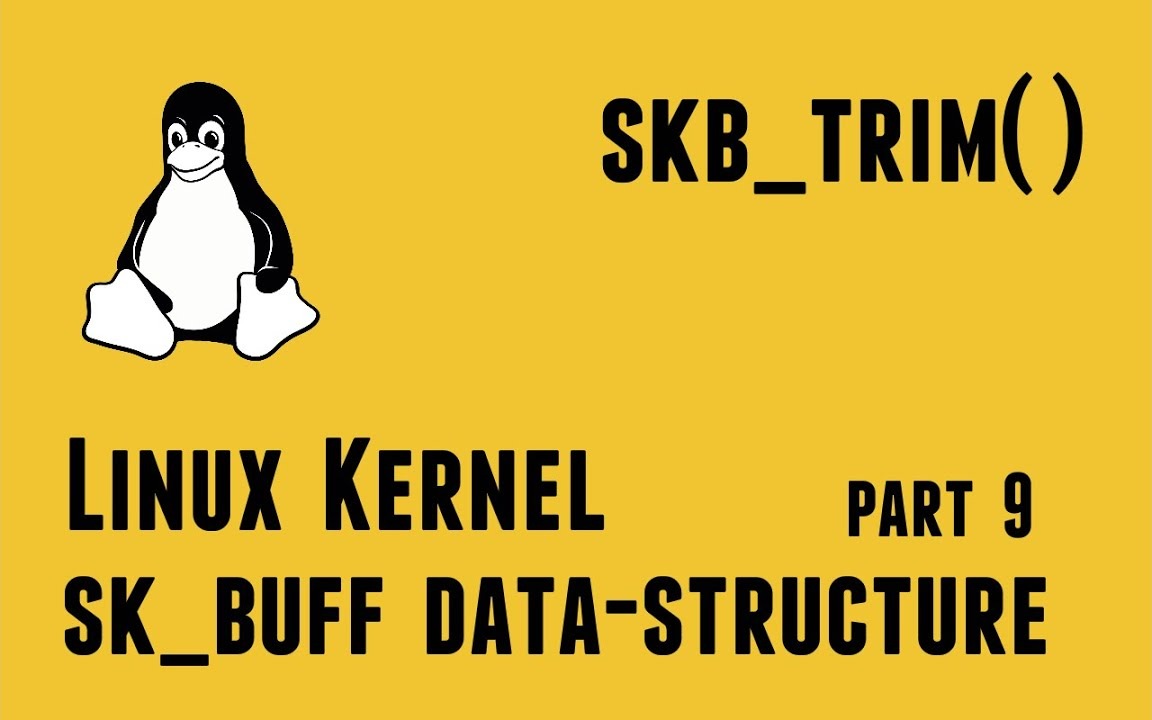 Linux Kernel Network Programming - struct sk_buff data-structure - skb_trim() API