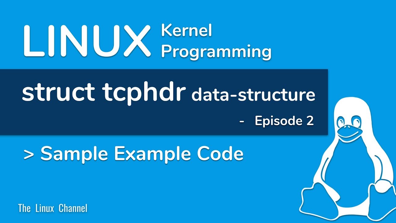 Linux Kernel Network Programming - struct tcphdr data-structure - Sample Example Code