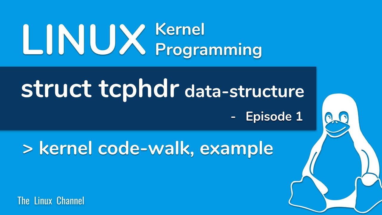 Linux Kernel Network Programming - struct tcphdr data-structure - code walk, Example