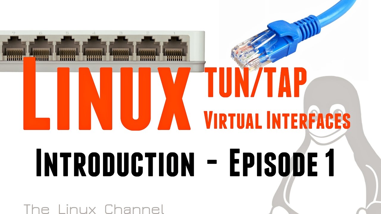 Linux TUN TAP virtual network interfaces