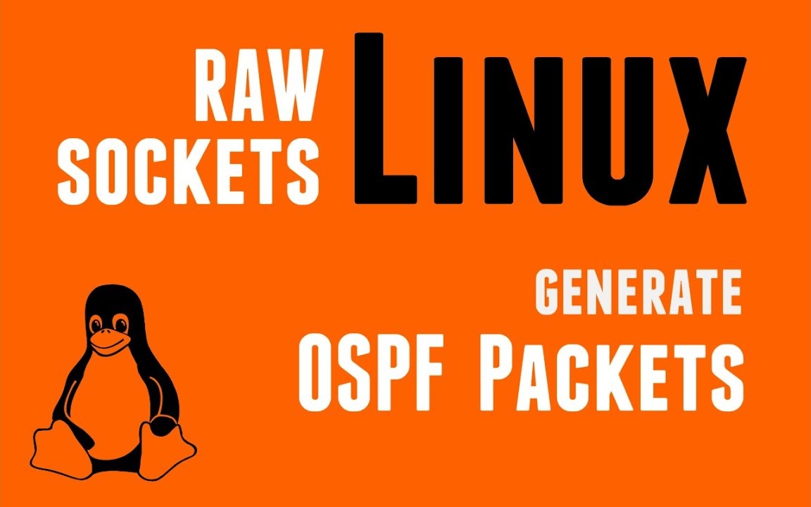 Linux (user-space) RAW Socket Programming – Generate Layer-3 IP multicast OSPF Packets