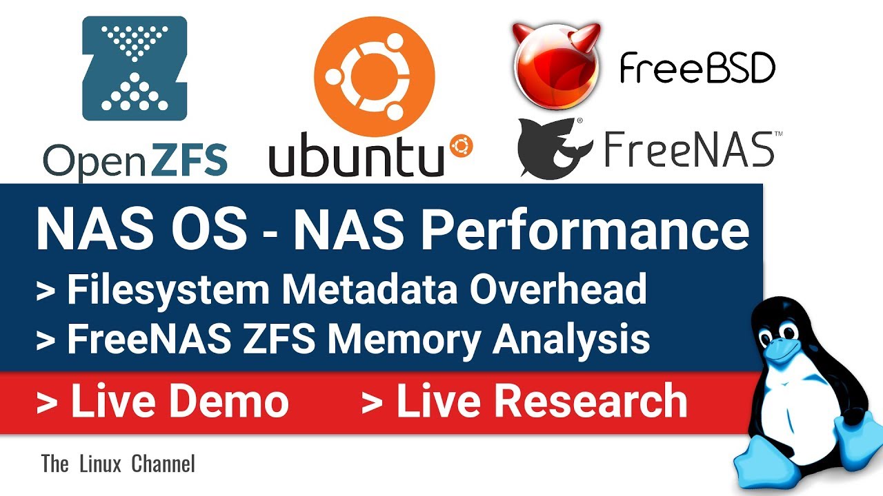 NAS OS - OpenZFS - FreeNAS (now TrueNAS) Memory Analysis - Filesystem Metadata Overhead - NAS Performance