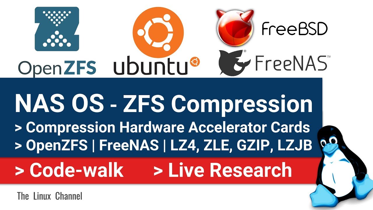 NAS OS - ZFS Compression - LZ4 ZLE - Hardware Compression Accelerator Cards - OpenZFS FreeNAS (now TrueNAS)
