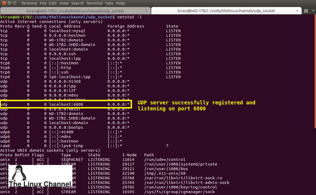 Step 2: with netstat check the status of UDP server registration