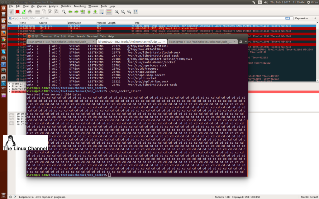 Step 4: execute UDP socket client in a different terminal