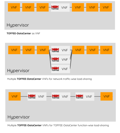 TOFFEE-DataCenter VNFs